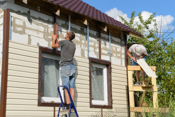 Best Siding Painting and Refinishing  in Prospect Heights, IL