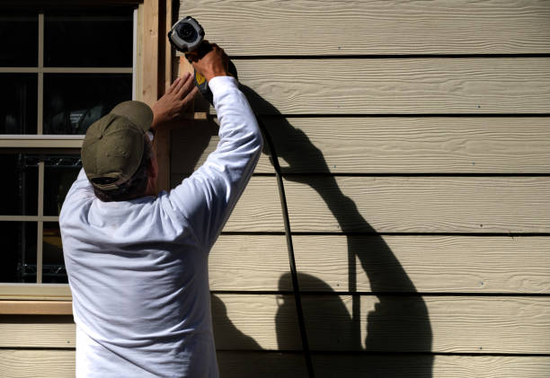 Best Custom Siding Design  in Prospect Heights, IL