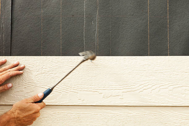 Affordable Siding Repair and Maintenance Services in Prospect Heights, IL